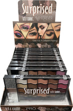 Load image into Gallery viewer, S.F.R. COLOR Surprised Pro Makeup Palette (12pcs)
