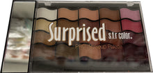 Load image into Gallery viewer, S.F.R. COLOR Surprised Pro Makeup Palette (12pcs)