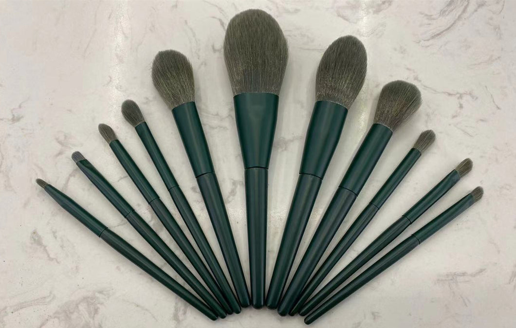 HD Makeup Brush 11 in Set