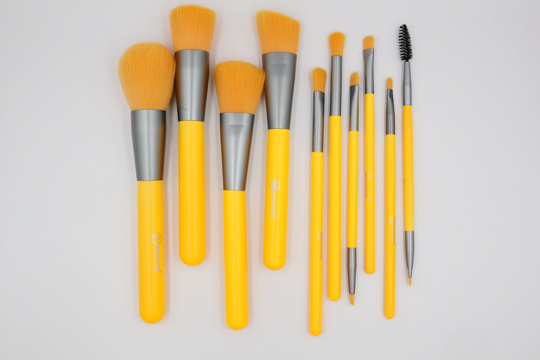 Brush Kit 10 pcs